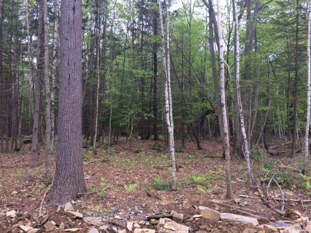 Lot 2-00 Sawyer Rd Cape Portland, ME 04103 - Photo 5 of 7 Photo