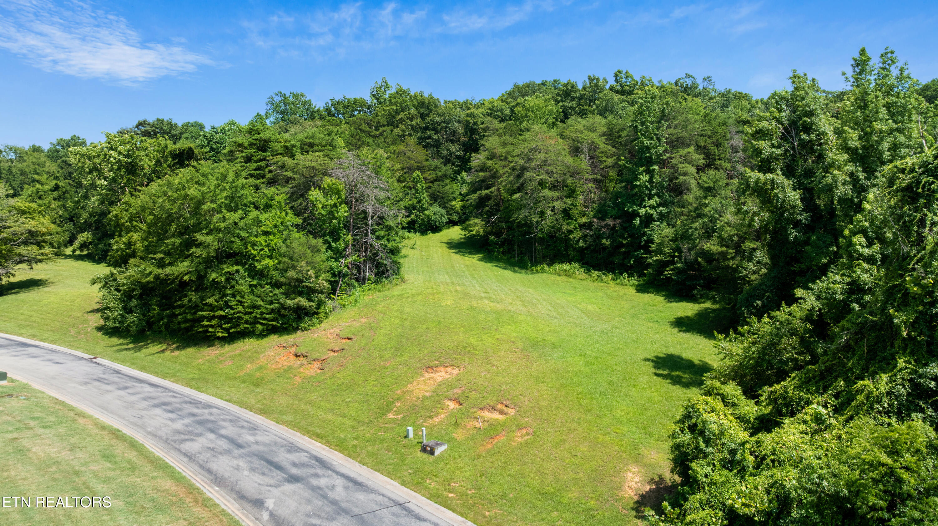 45 R Thunder Ridge Drive Vonore, TN 37885 - Photo 3 of 19 DJI_0890-HDR
