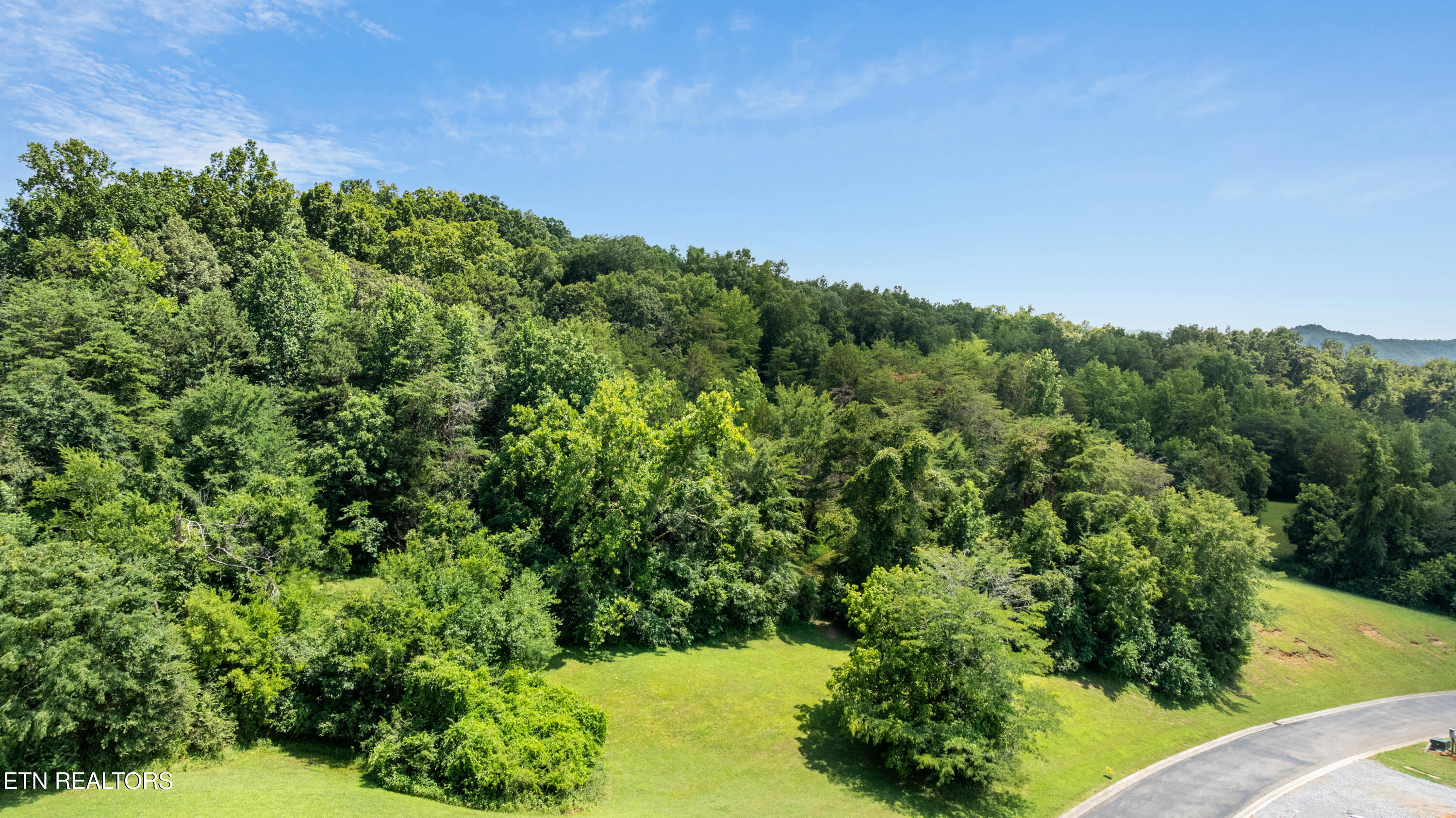 45 R Thunder Ridge Drive Vonore, TN 37885 - Photo 5 of 19 DJI_0905-HDR