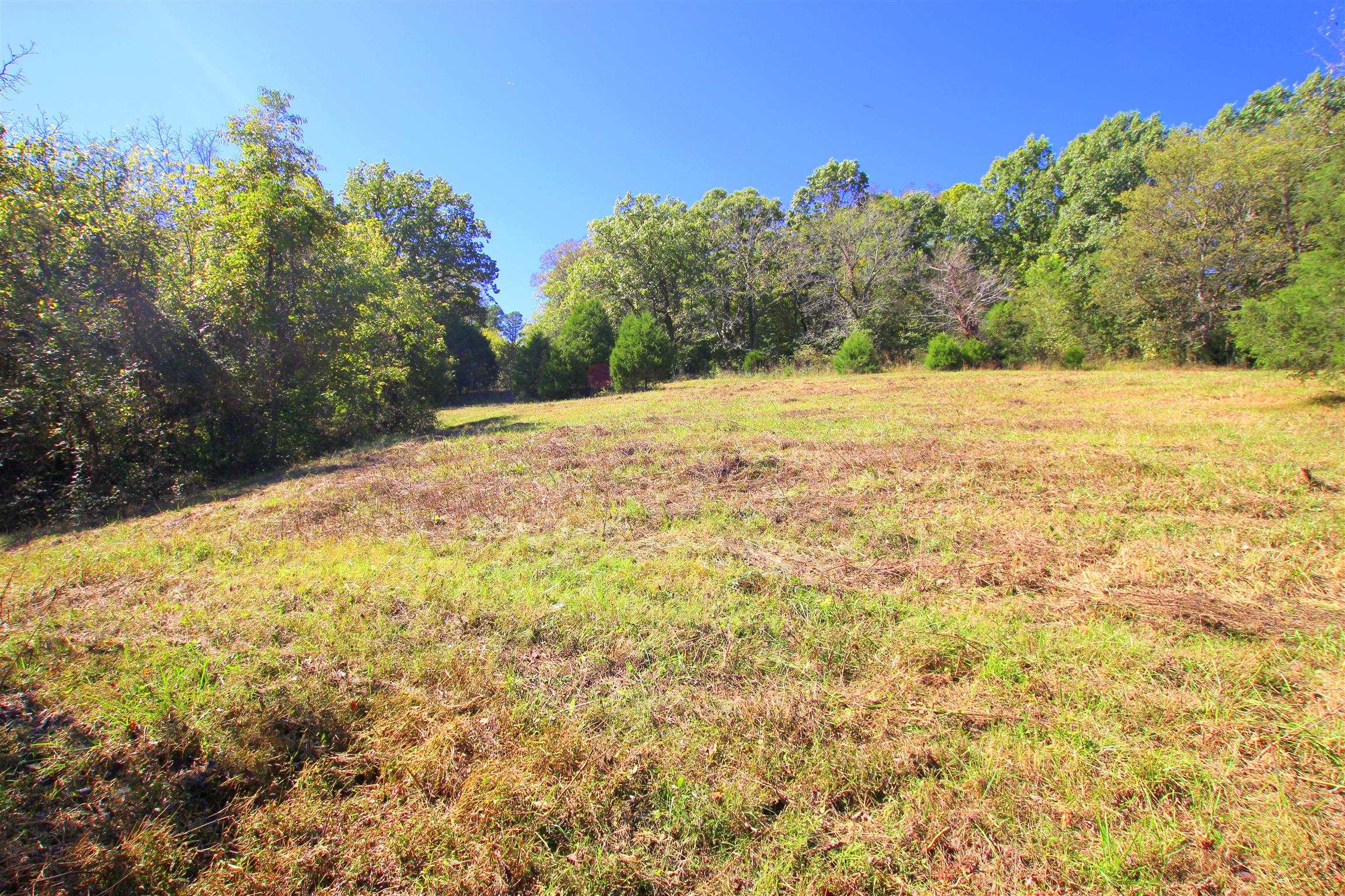 2471 Garner Road Mount Pleasant, TN 38474 - Photo 17 of 19 Gallery Image 17