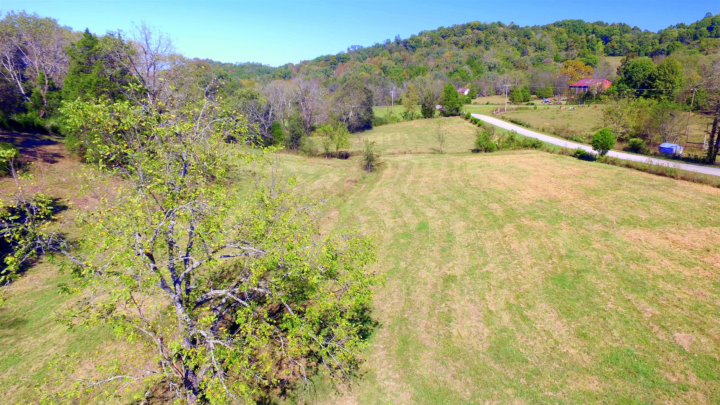 2471 Garner Road Mount Pleasant, TN 38474 - Photo 3 of 19 Gallery Image 3