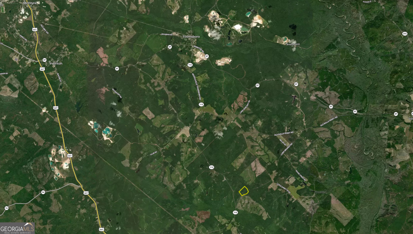 V/l Long Branch Road, Unit LOT 7 Toomsboro, GA 31090 - Photo 12 of 12