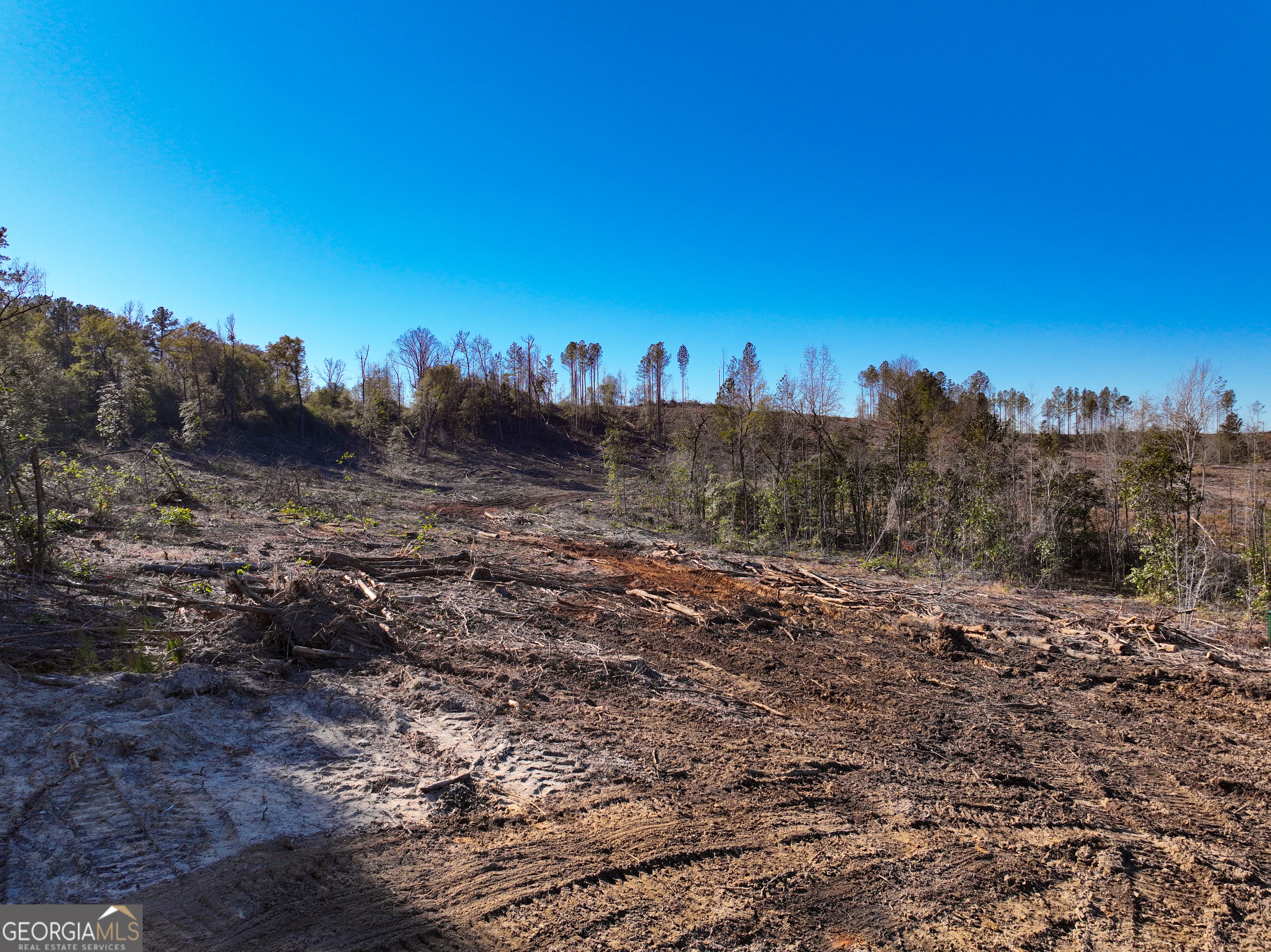 V/l Long Branch Road, Unit LOT 7 Toomsboro, GA 31090 - Photo 3 of 12