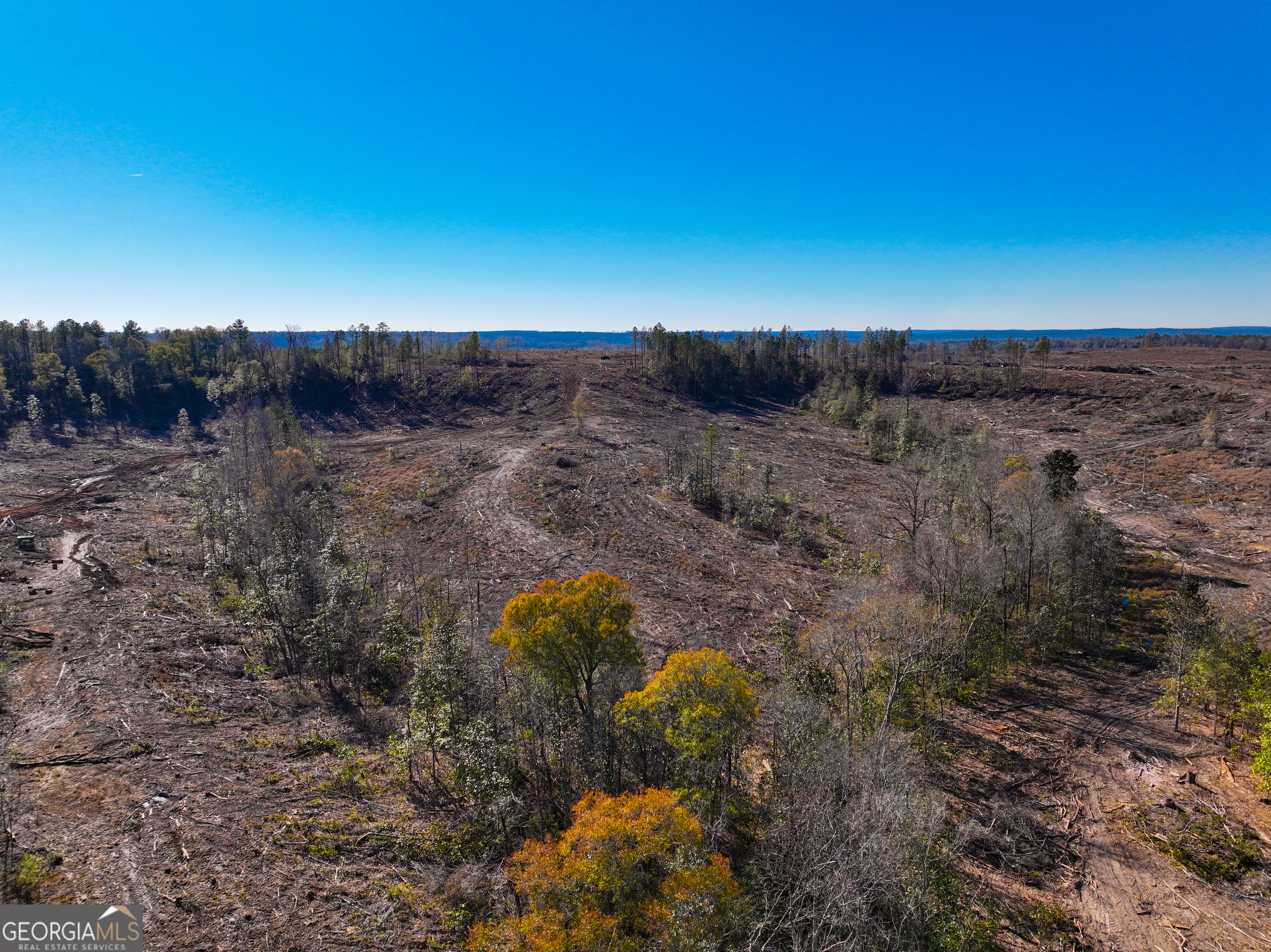 V/l Long Branch Road, Unit LOT 7 Toomsboro, GA 31090 - Photo 5 of 12