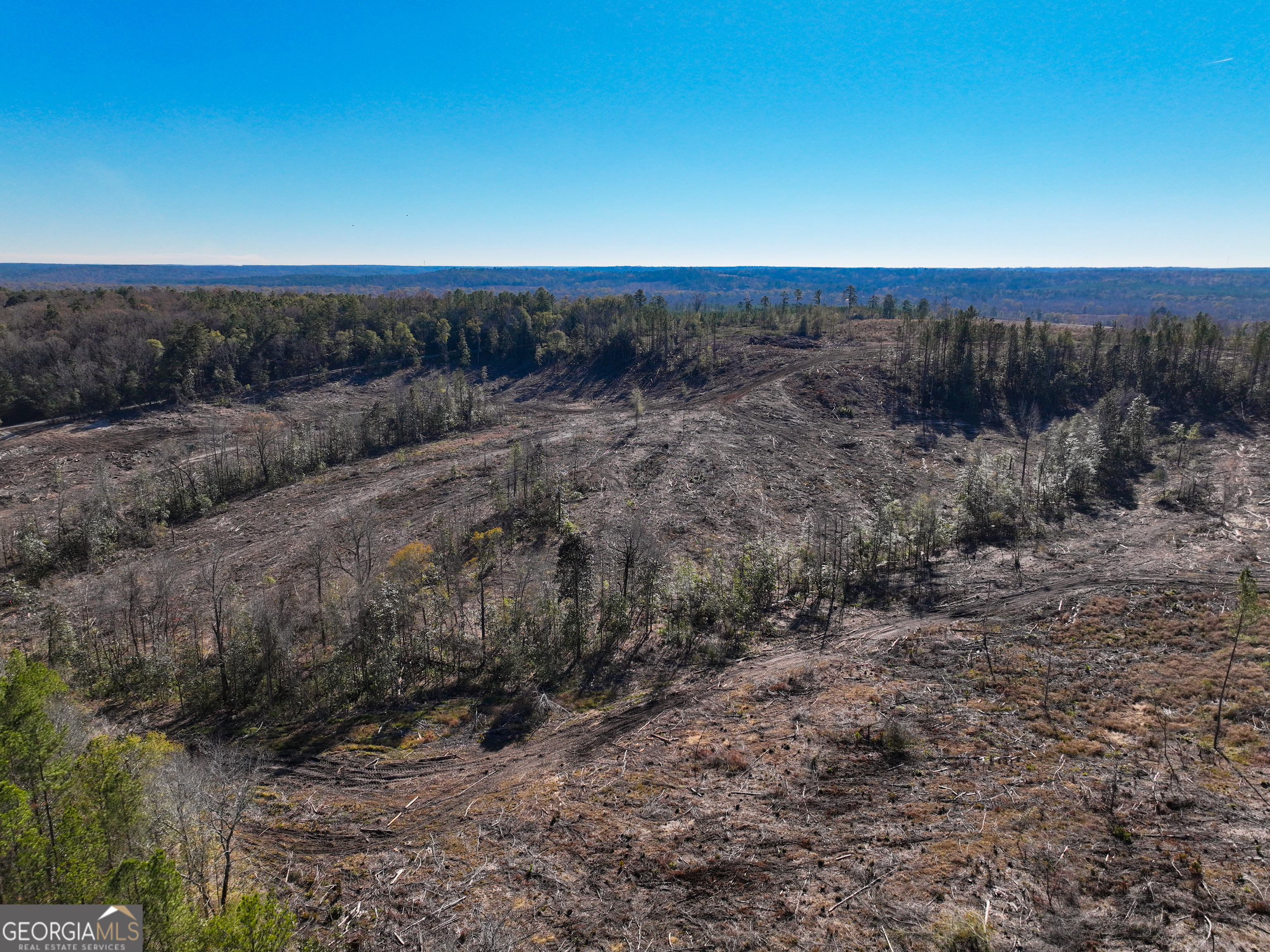 V/l Long Branch Road, Unit LOT 7 Toomsboro, GA 31090 - Photo 6 of 12