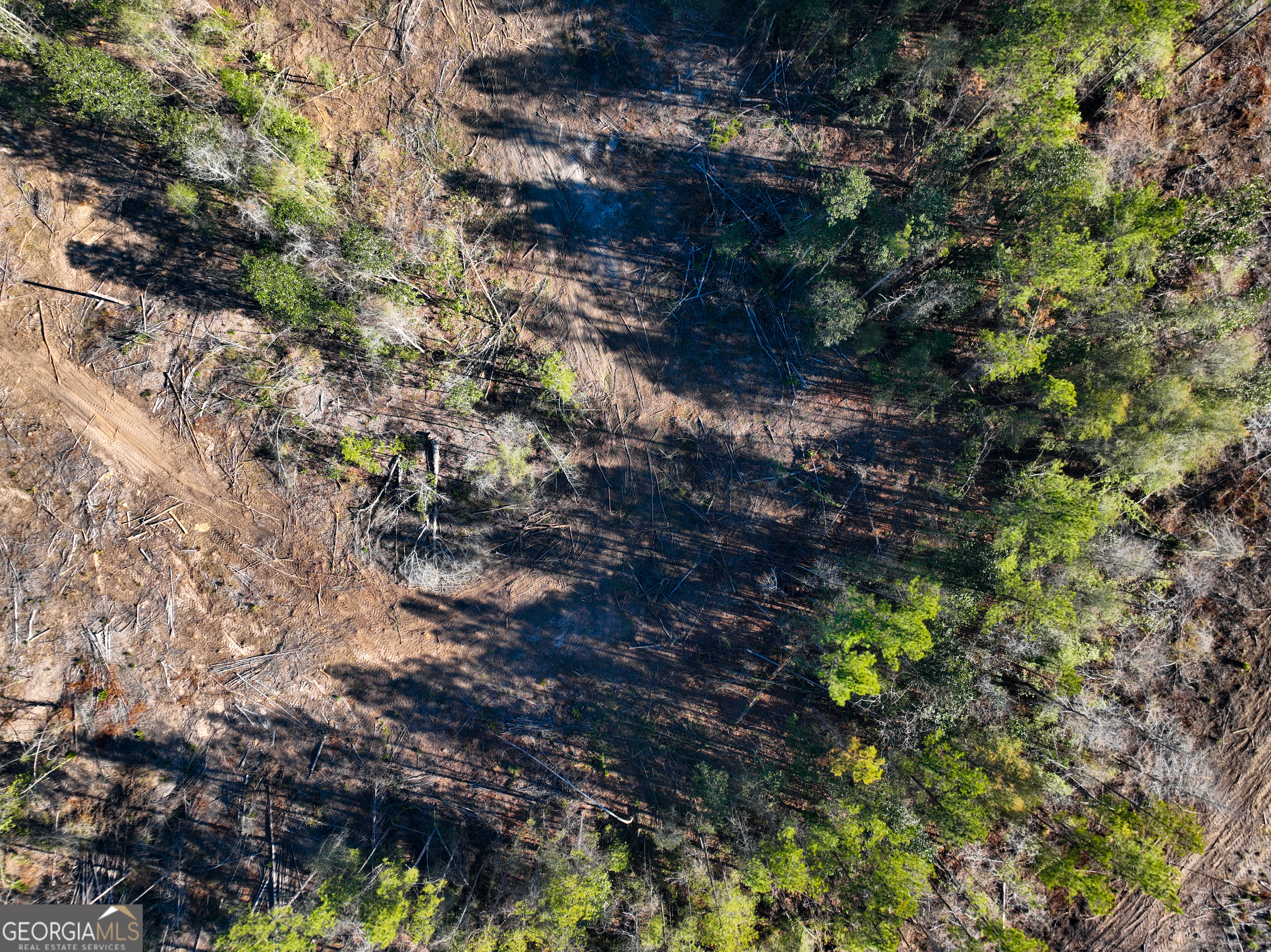 V/l Long Branch Road, Unit LOT 7 Toomsboro, GA 31090 - Photo 8 of 12