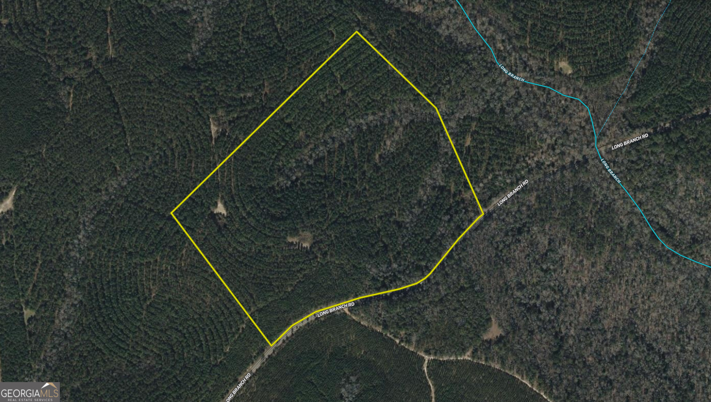 V/l Long Branch Road, Unit LOT 7 Toomsboro, GA 31090 - Photo 10 of 12