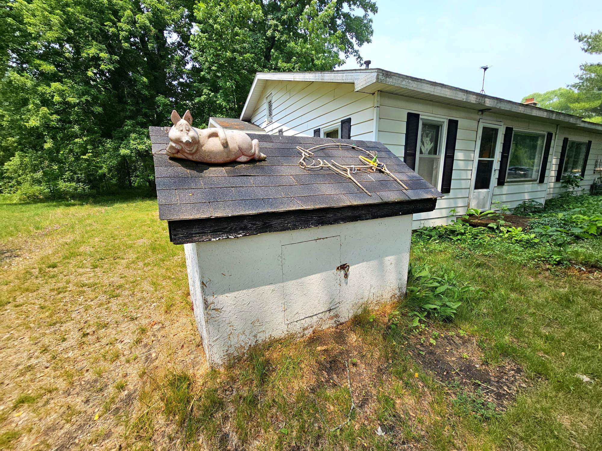 880 South Senator Road Crystal, MI 48818 - Photo 7 of 59