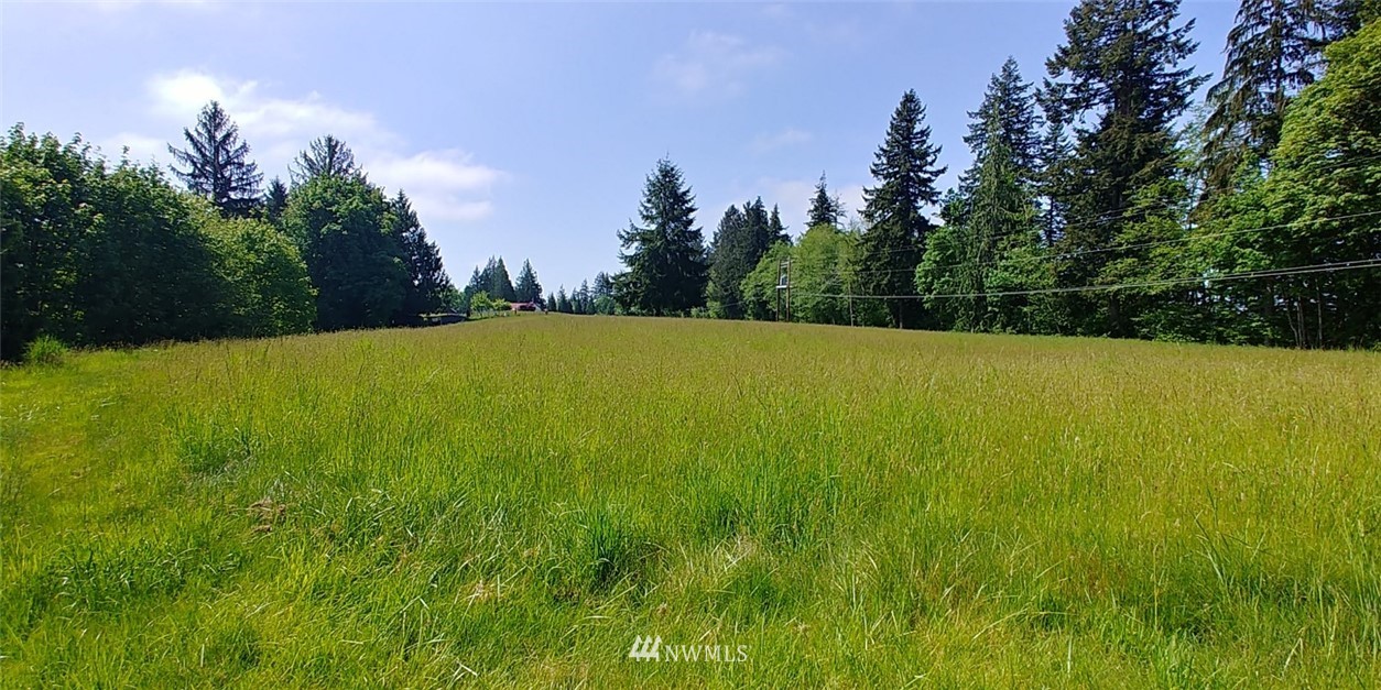146 East Satsop Road Elma, WA 98541 - Photo 2 of 9 Gallery Image 2