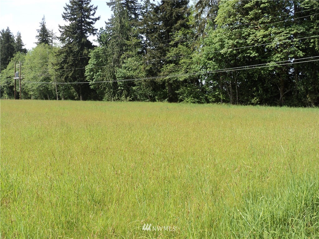 146 East Satsop Road Elma, WA 98541 - Photo 7 of 9 Gallery Image 7