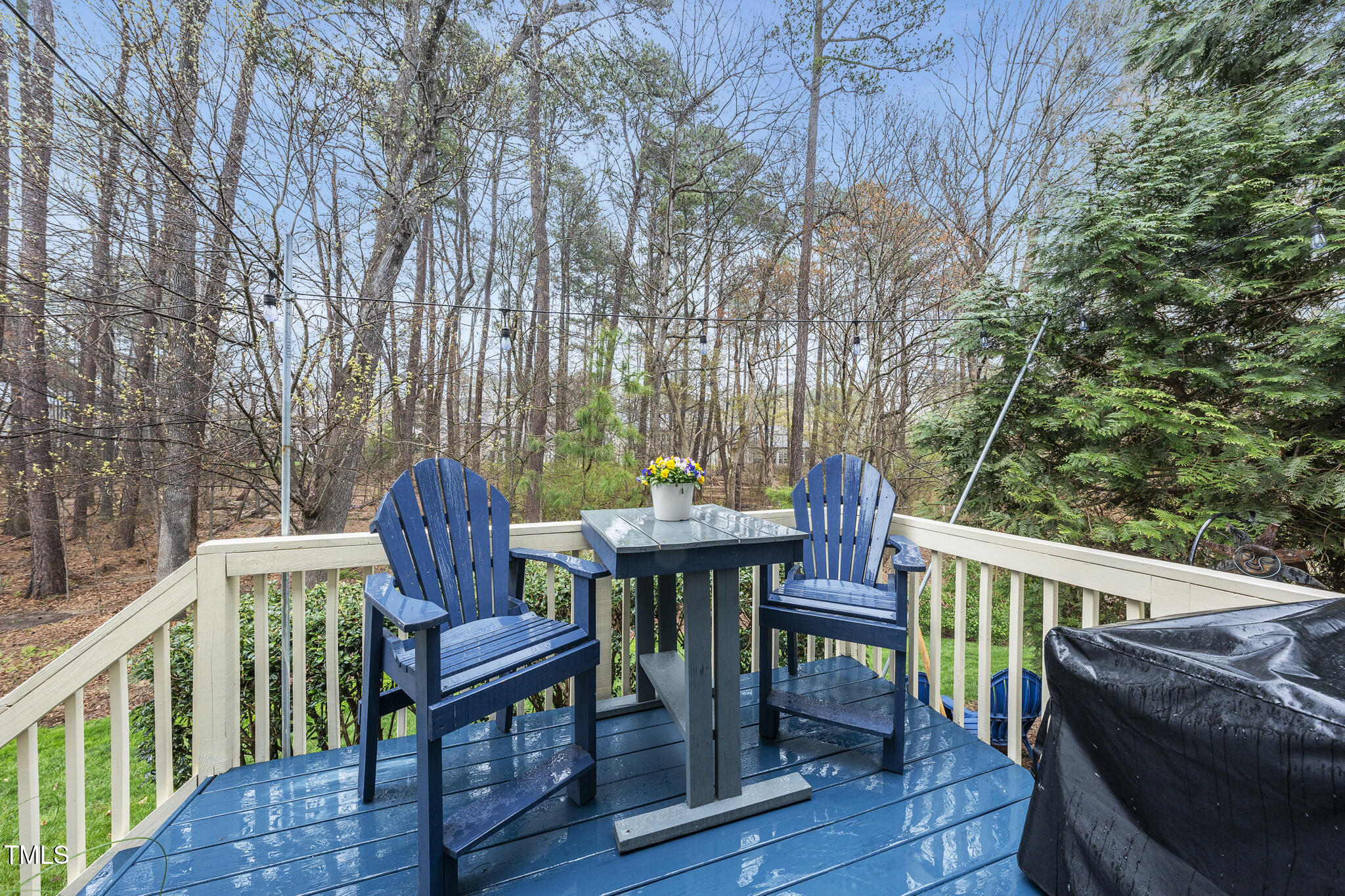 3419 Ranbir Drive Durham, NC 27713 - Photo 29 of 33 a view of a chairs and table on the deck