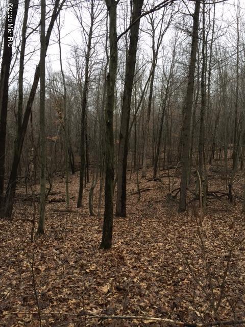 Morgan Road Battle Creek, MI 49037 - Photo 1 of 1 Morgan 2
