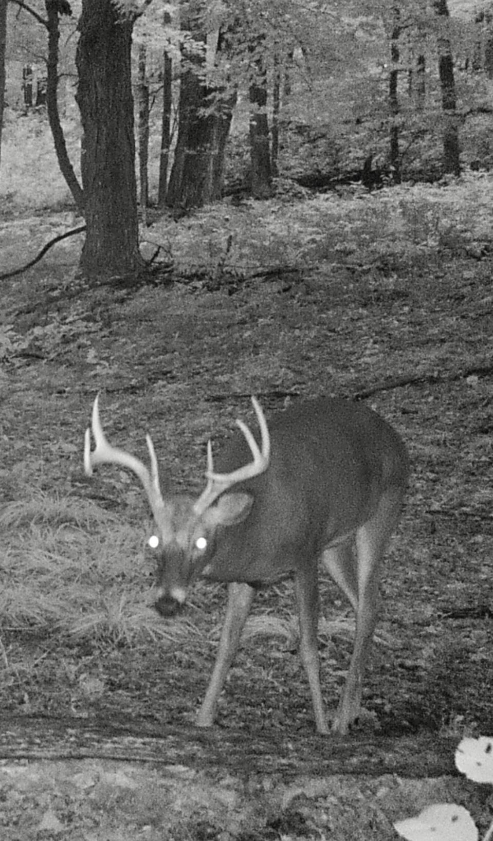 9 9 Mile Road Kingsley, MI 49649 - Photo 50 of 66