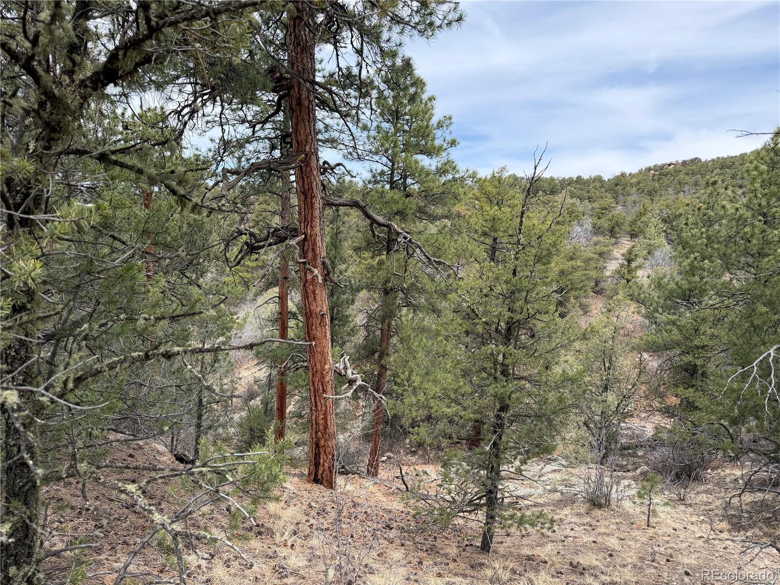 672 Coyote Run Road Cotopaxi, CO 81223 - Photo 19 of 26