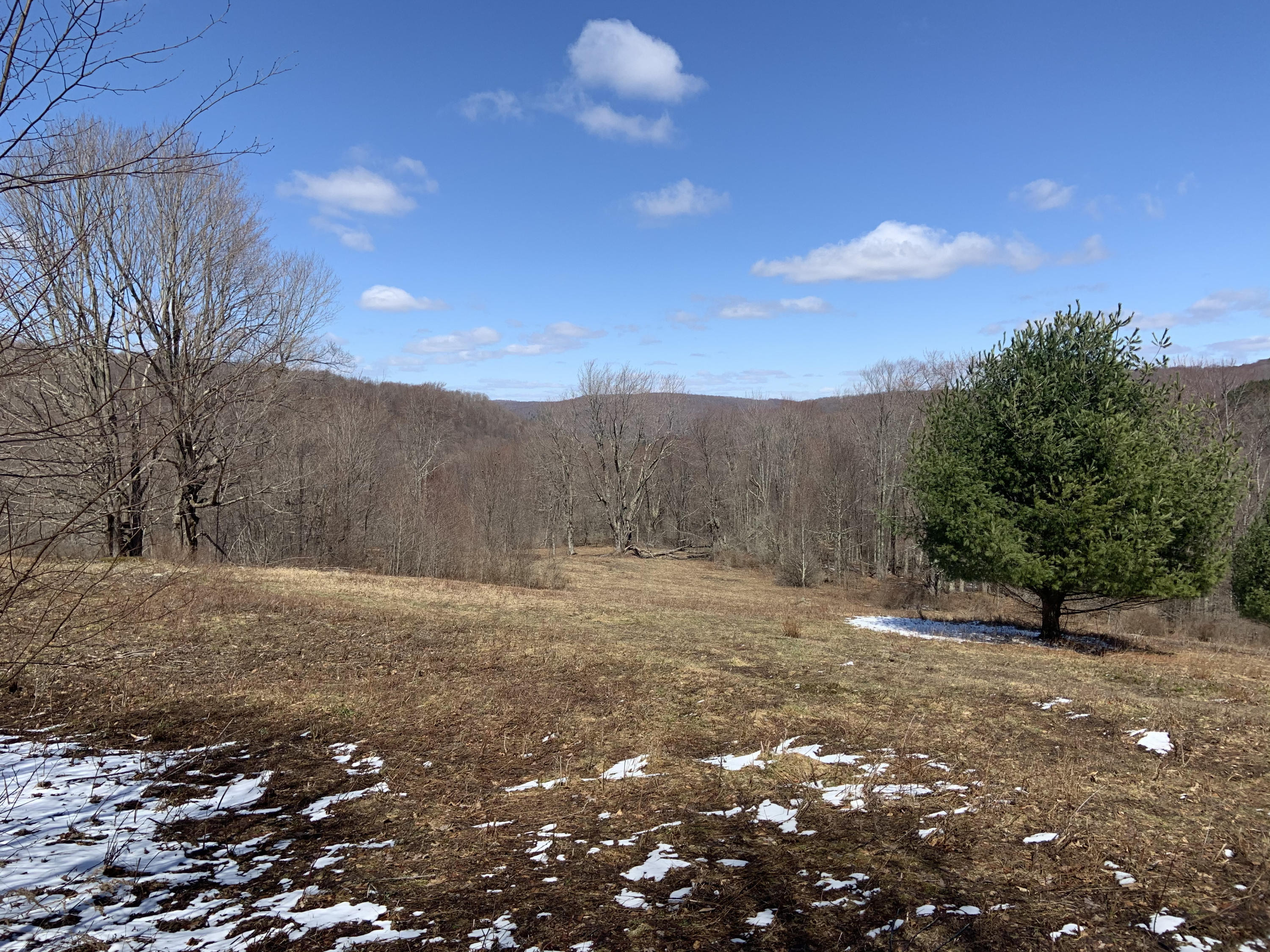 Starrucca Creek Road Susquehanna, PA 18847 - Photo 3 of 11