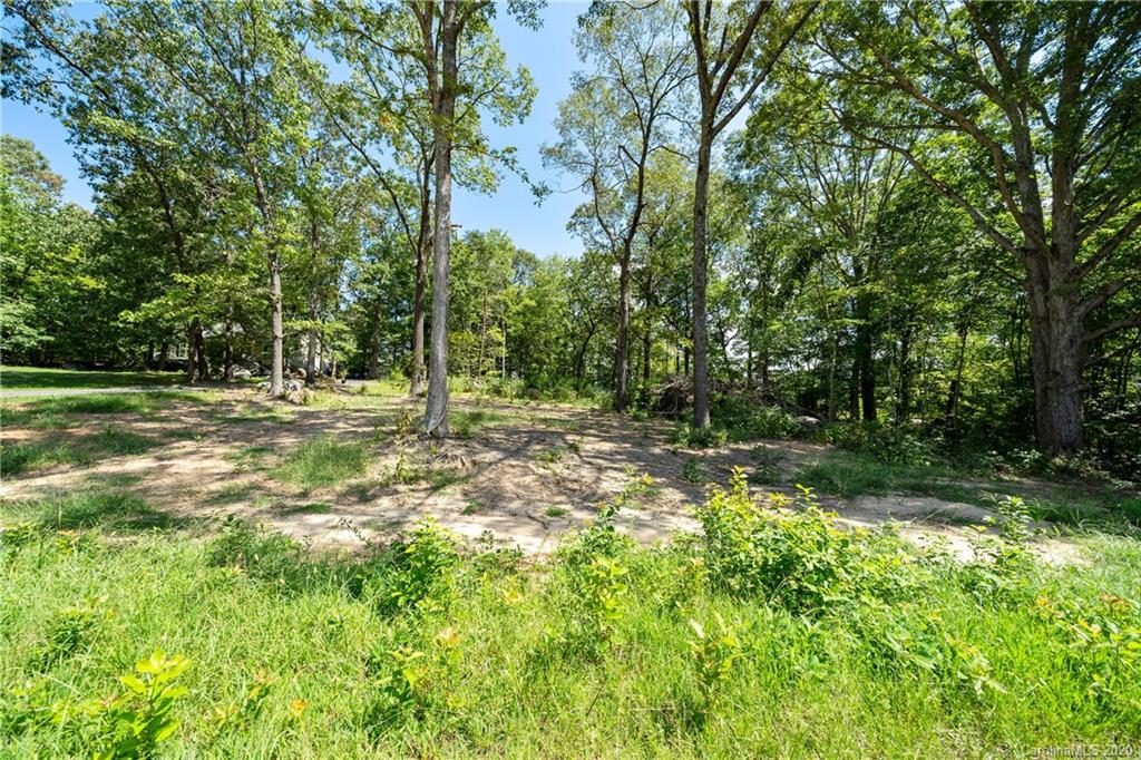3980 Kiser Island Road Terrell, NC 28682 - Photo 3 of 8 a backyard of a house with lots of green space