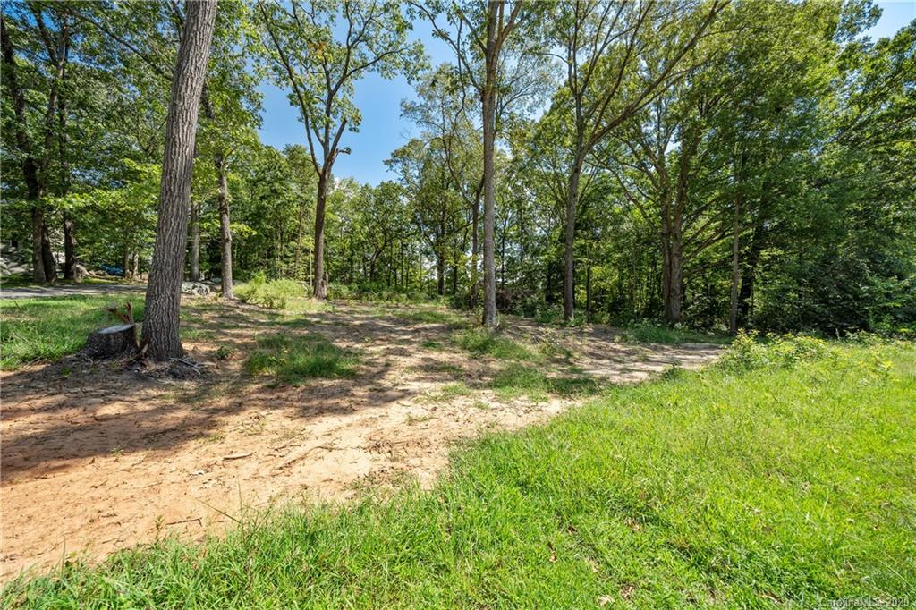 3980 Kiser Island Road Terrell, NC 28682 - Photo 4 of 8 a view of a yard with a tree