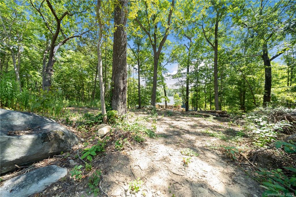 3980 Kiser Island Road Terrell, NC 28682 - Photo 5 of 8 a view of outdoor space with trees