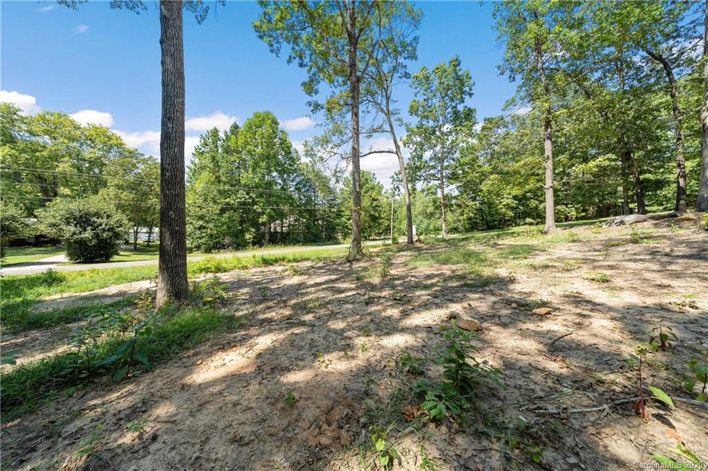 3980 Kiser Island Road Terrell, NC 28682 - Photo 8 of 8 a view of a yard with plants