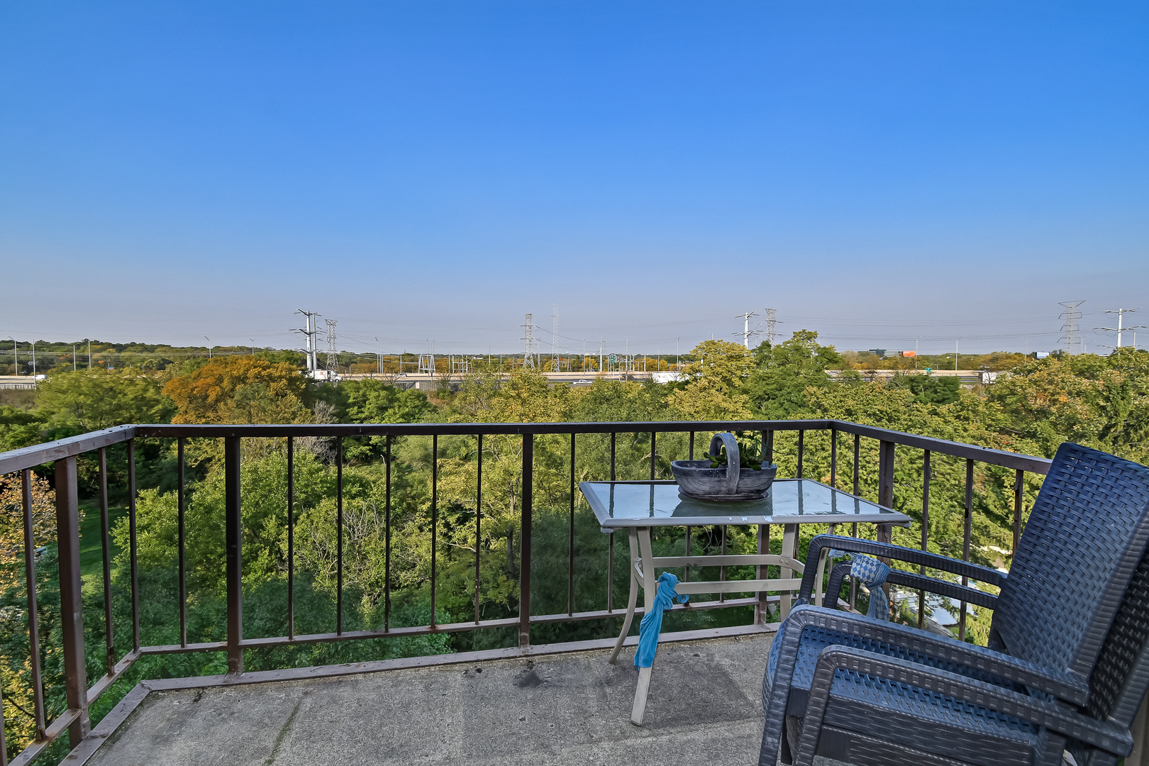 425 Walnut Creek Road, Unit 1603 Lisle, IL 60532 - Photo 2 of 16