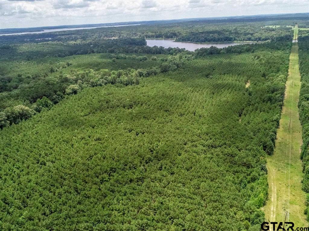 599 Jones Farm Road Avinger, TX 75630 - Photo 12 of 19