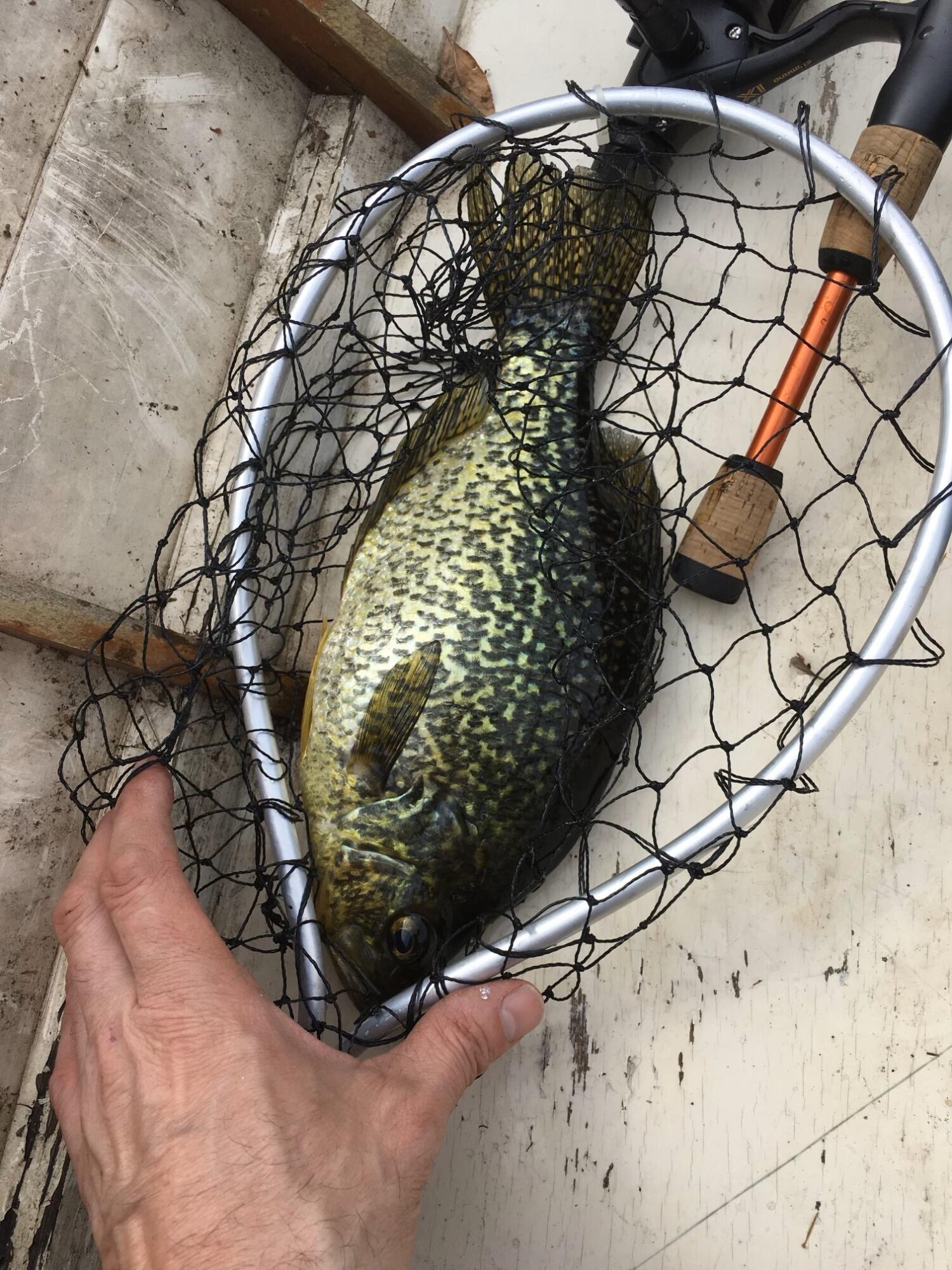 Lot #35 Hubbards Cove Road Shapleigh, ME 04076 - Photo 17 of 19 fish3