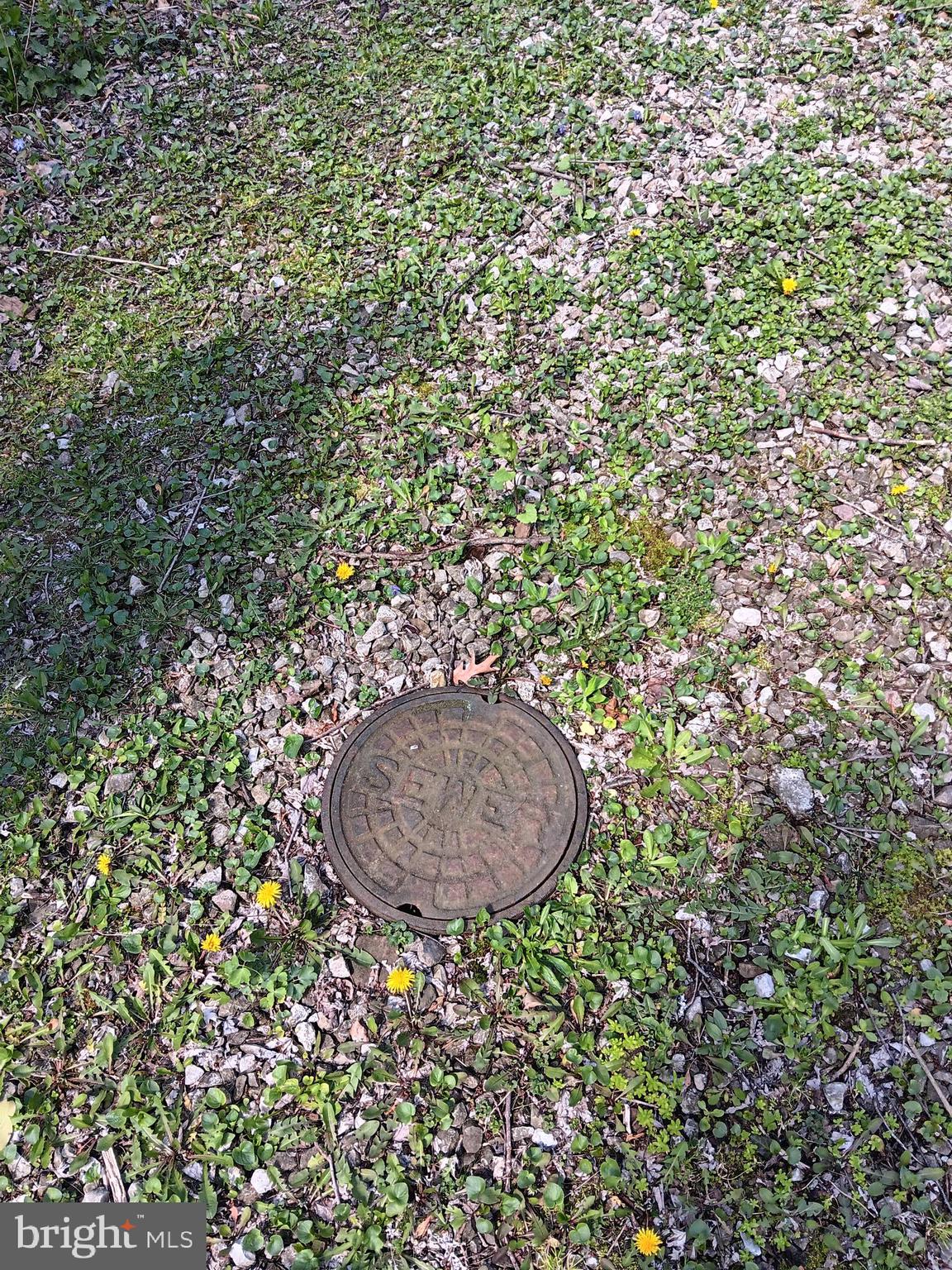 139 Church Street Twin Rocks, PA 15960 - Photo 6 of 47 a view of a plants and small yard of a house
