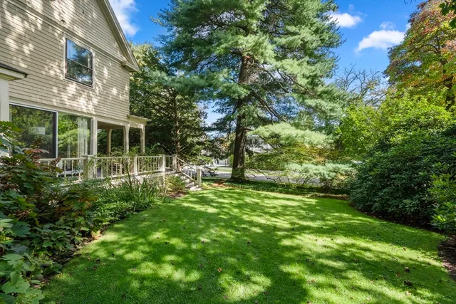 a view of a yard with plants and large trees