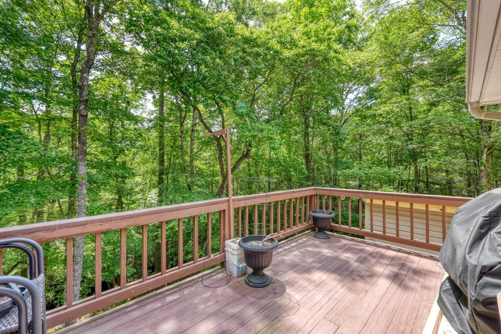 139 Dowd Road Morganton, GA 30560 - Photo 40 of 55
