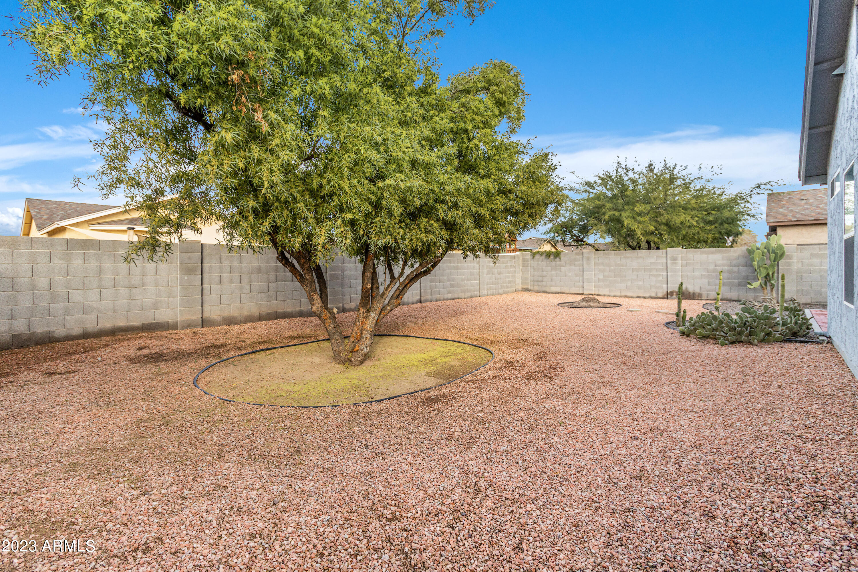 1750 East Sycamore Road Casa Grande, AZ 85122 - Photo 18 of 23 Backyard