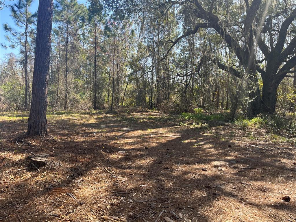 Mt Pleasant Road Groveland, FL 34736 - Photo 3 of 15