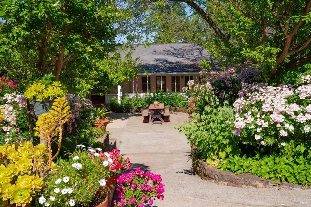 a view of swimming pool with lawn chairs and plants