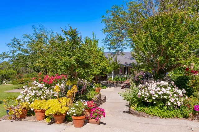 a view of a swimming pool with lawn chairs under an umbrella