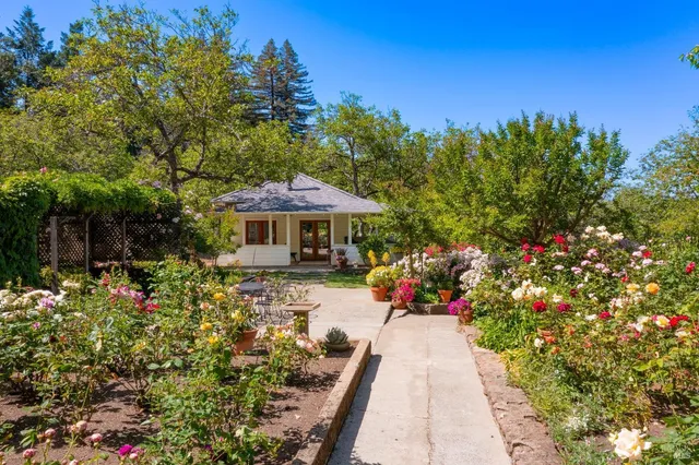 a view of a lake in middle of forest