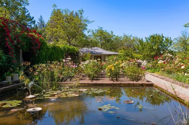 a view of a garden with trees