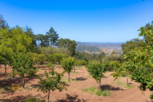$3,650,000 | 1300 Ink Grade Road, Angwin, CA 94508