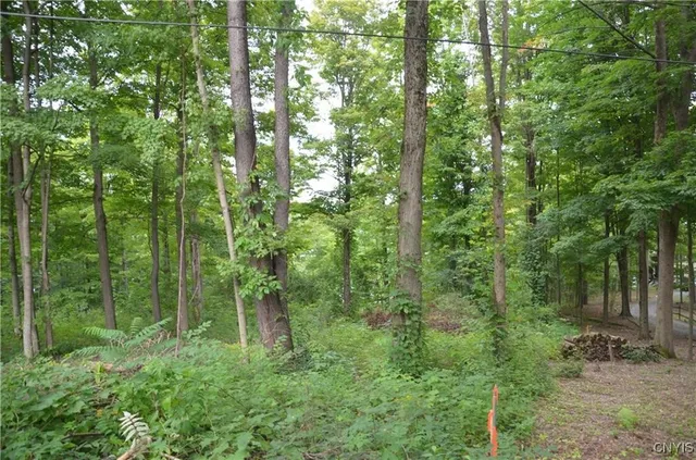 $1,649,000 | 0 West Lake Road Street, Unit A, Skaneateles, NY 13152