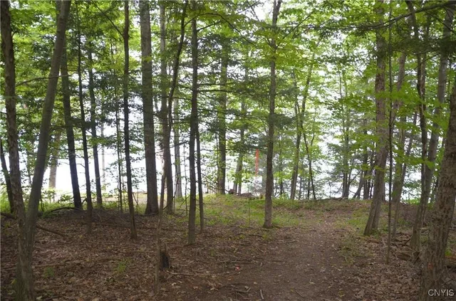 $1,649,000 | 0 West Lake Road Street, Unit A, Skaneateles, NY 13152