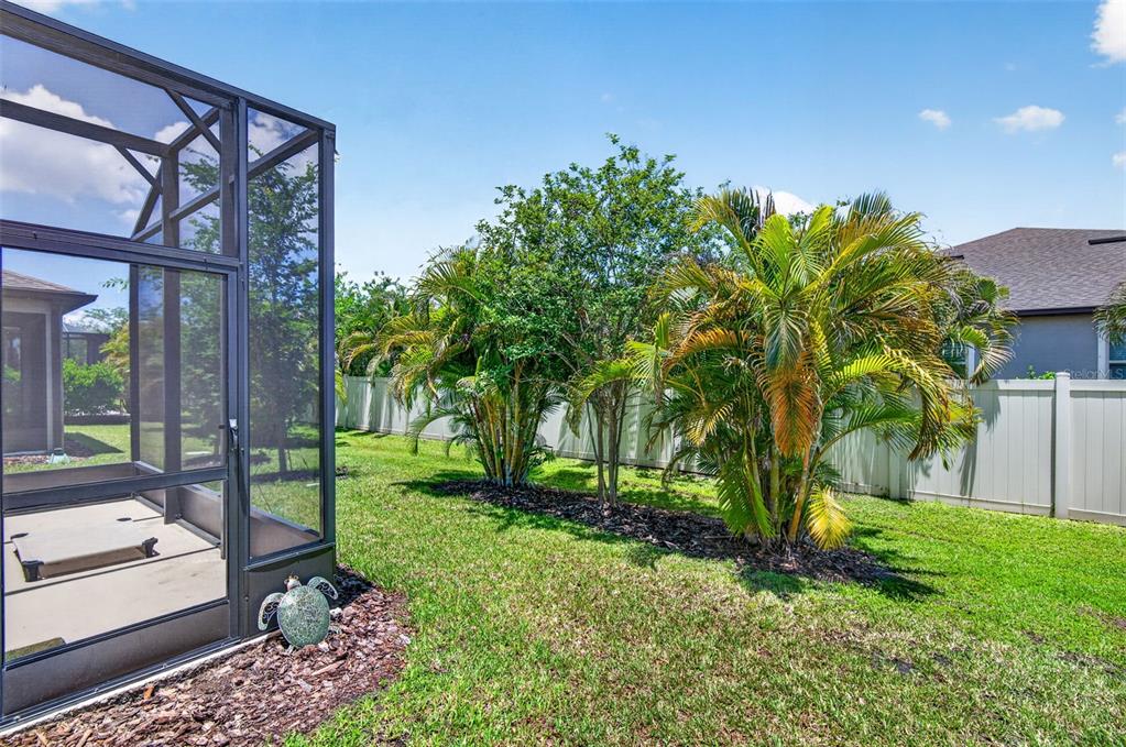 6427 Mooring Line Circle Apollo Beach, FL 33572 - Photo 32 of 34 a view of a porch with a yard