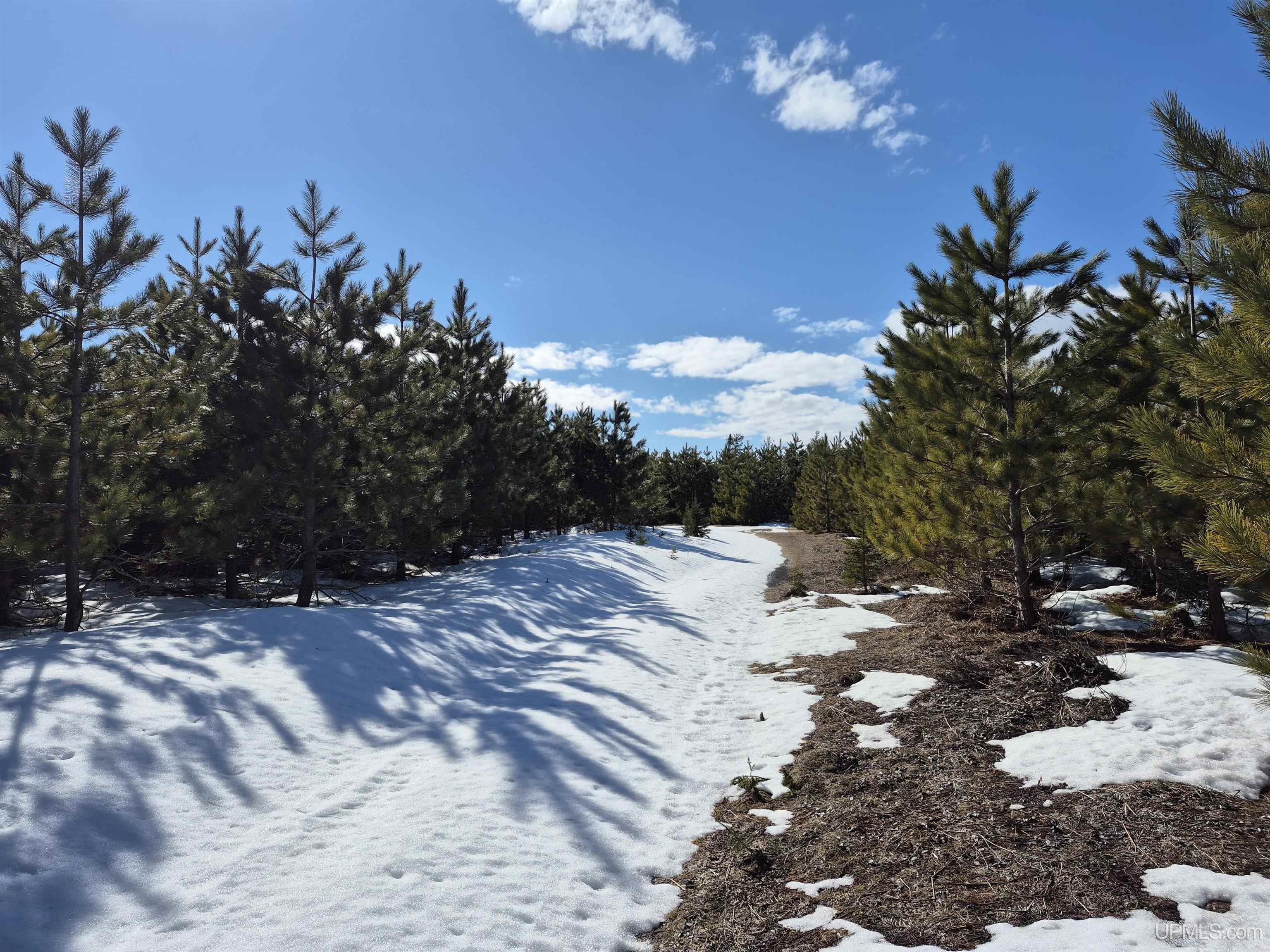 40-acres Off Flodin Road Manistique, MI 49854 - Photo 6 of 23