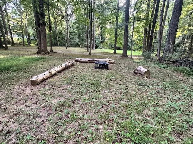 a backyard of a house with lots of green space