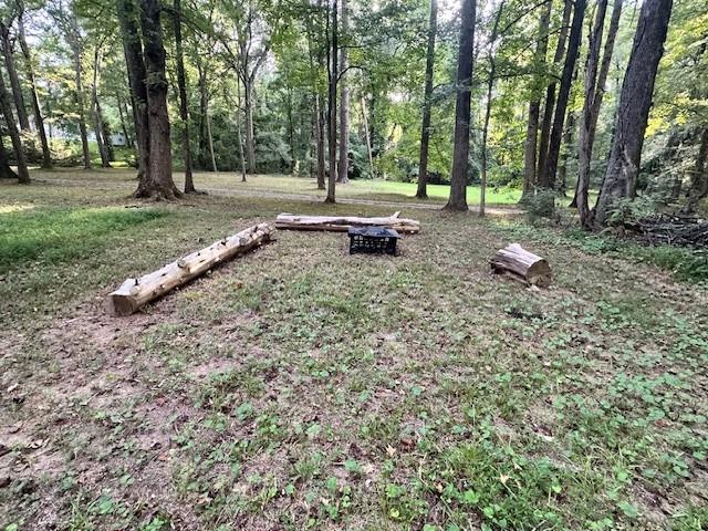4073 Twin Springs Road Gainesville, GA 30507 - Photo 11 of 41 a backyard of a house with lots of green space