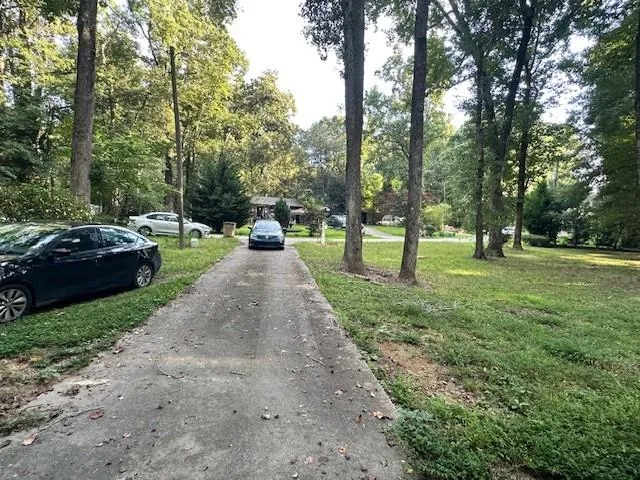 a view of a park with large trees