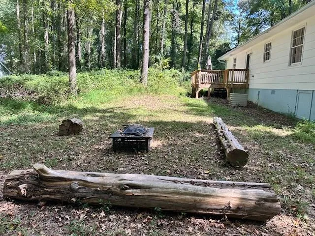 a view of a backyard with plants and trees