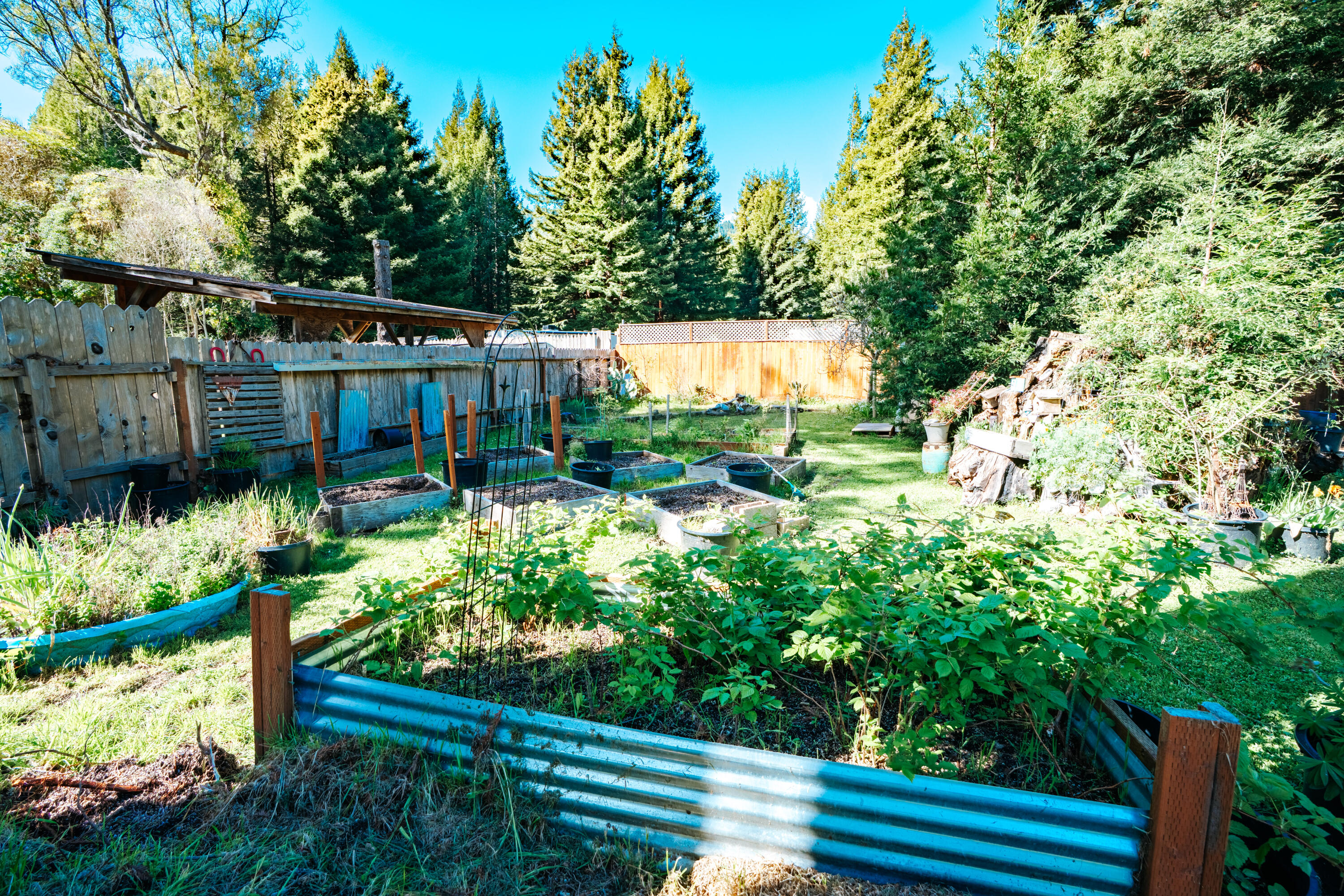 421 N Road Scotia, CA 95565 - Photo 44 of 56