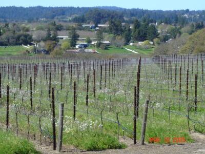 8090 Pillow Road Sebastopol, CA 95472 - Photo 1 of 10 a view of city from a balcony