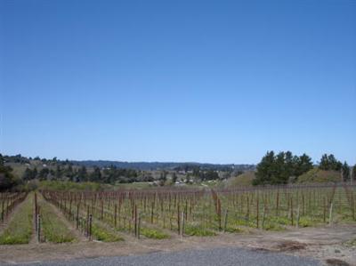 8090 Pillow Road Sebastopol, CA 95472 - Photo 2 of 10 a view of lake with a outdoor space