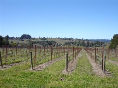 8090 Pillow Road Sebastopol, CA 95472 - Photo 3 of 10 a lake view with a lake view