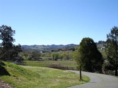 8090 Pillow Road Sebastopol, CA 95472 - Photo 8 of 10 a view of a mountain