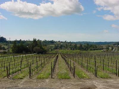 8090 Pillow Road Sebastopol, CA 95472 - Photo 9 of 10 a view of a lake with a mountain view